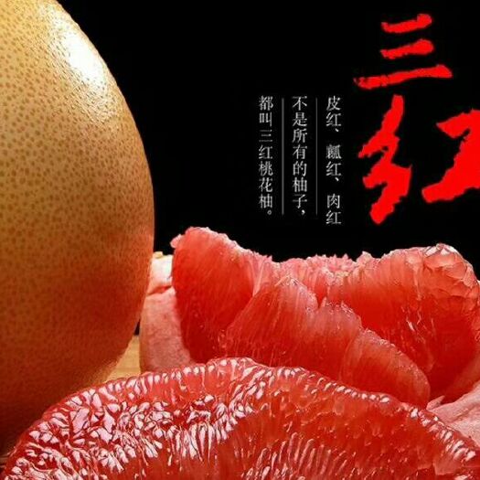 兴宁市三红蜜柚 1.5斤以上