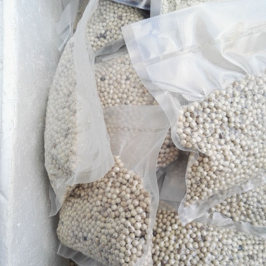 文昌市 正宗海南白胡椒粒 特级果粒