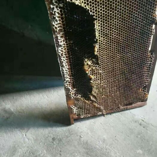 合阳县土蜂蜜 自家养的