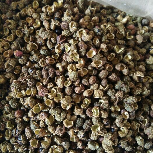 金阳县 方强青花椒白魔芋种植农场