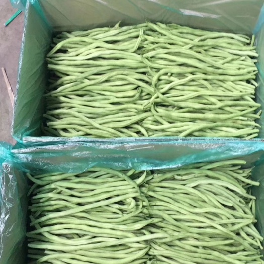 武山县架豆王豆角 40cm以下