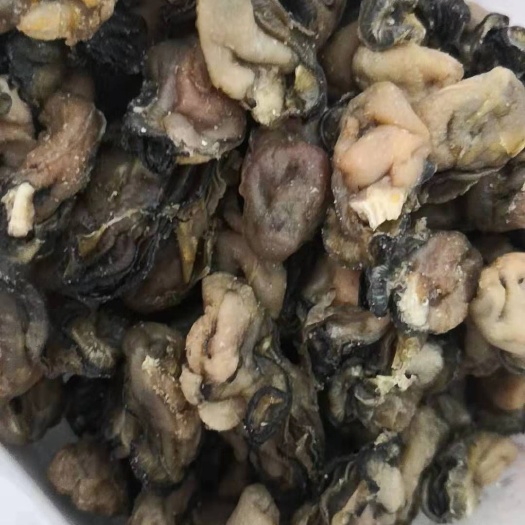 广州蚝豉 海鲜特产生蚝干