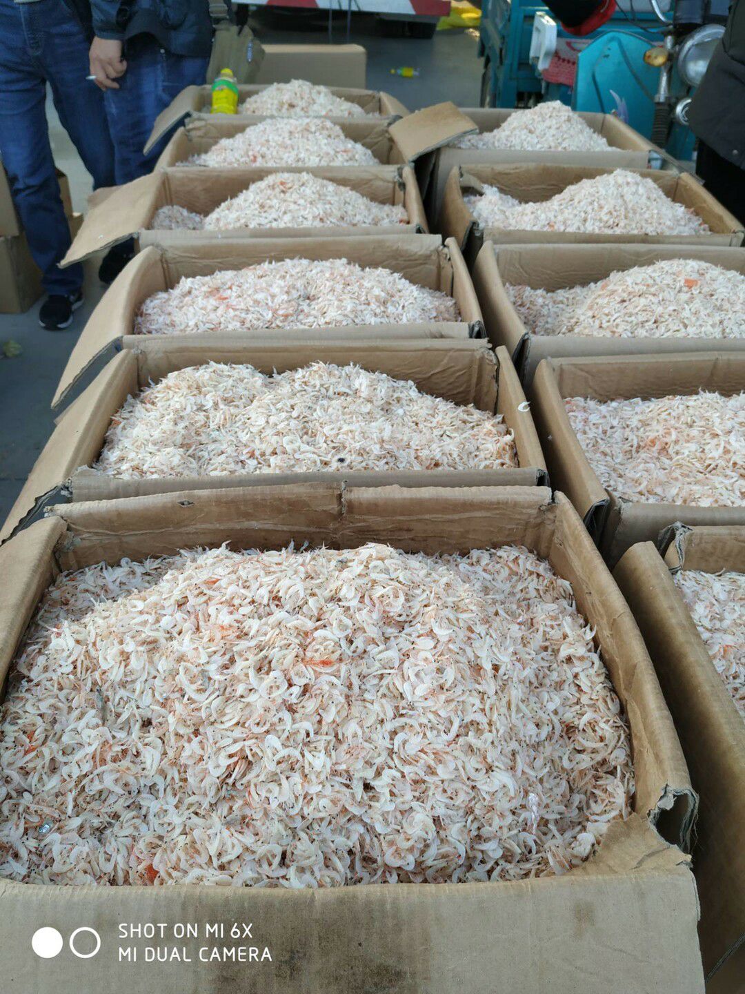 淡干虾皮，咸虾皮，虾米，虾干20斤起批不包邮