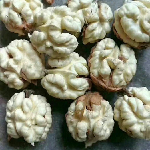 凤庆县 云南核桃
