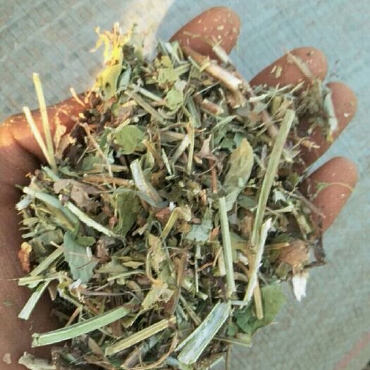枣阳市花生秧