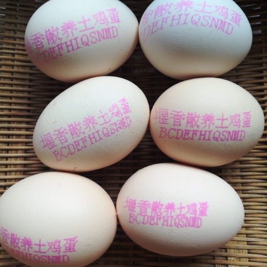 彭州市土鸡蛋 山林散养，纯粮食喂养，绿色食品！