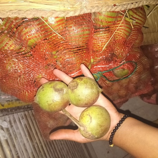 楚雄市 大量出售带皮核桃，有老板需要联系我