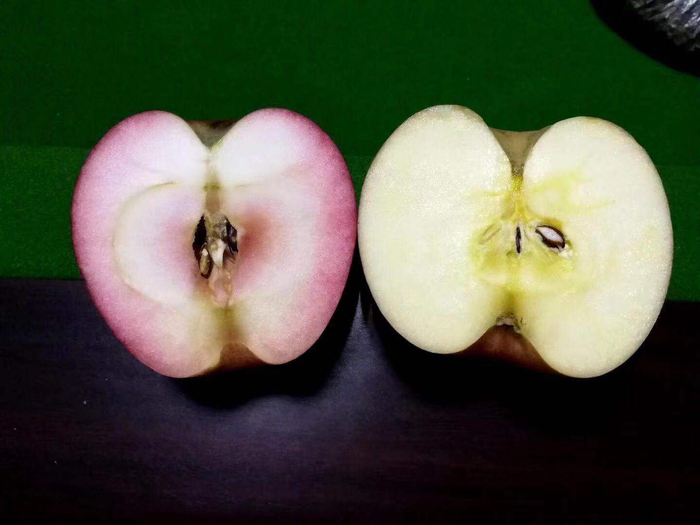  和普通的苹果对比花青素含量碾压，能力极强