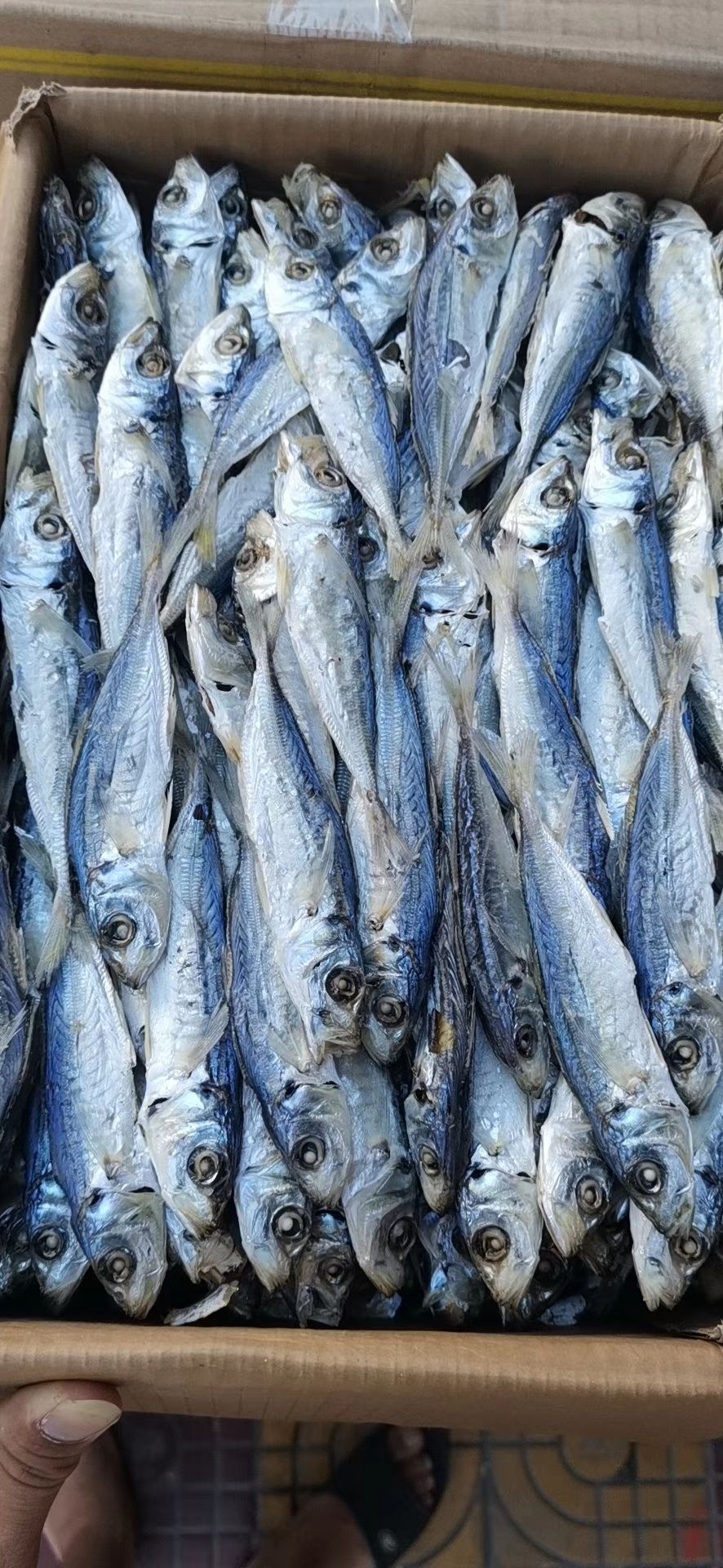 深海海鲜 海鲜特产157，干货冻品591，美食配送10235，支持快递