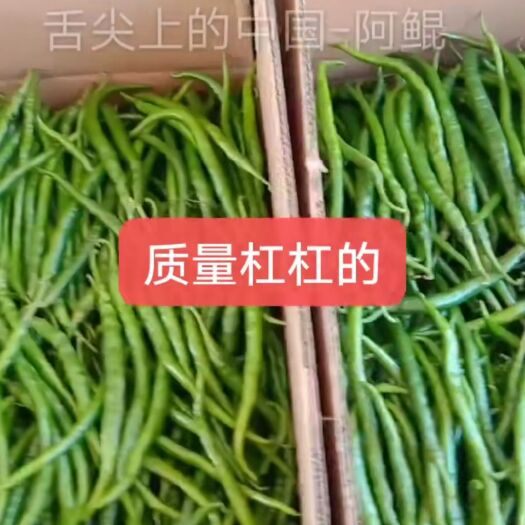 忻州鲜港椒 混装通货 微辣 红色