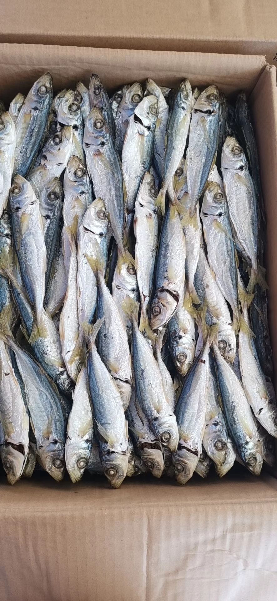 深海海鲜 海鲜特产157，干货冻品591，美食配送10235，支持快递