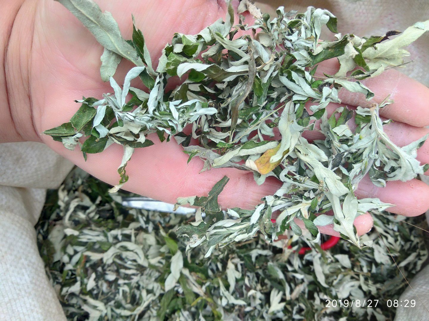 贵州无硫艾蒿干货食品色青纯叶食用艾叶干品食材产地直销