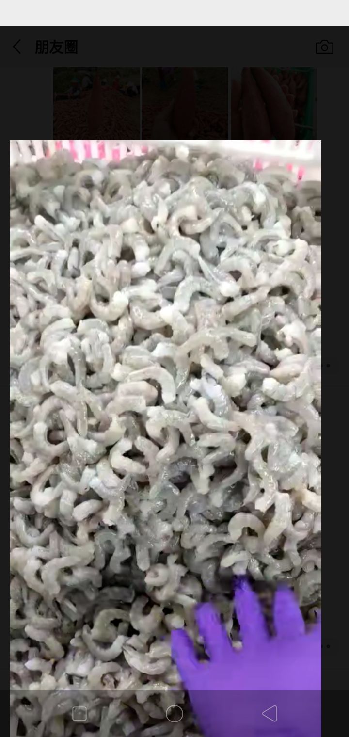 深海海鲜 海鲜特产157，干货冻品591，美食配送10235，支持快递