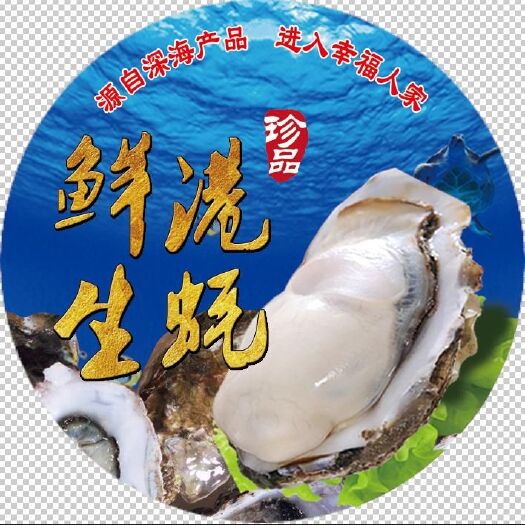 诏安县珍珠蚝 生蚝小包装，大包装，净化蚝通通有货