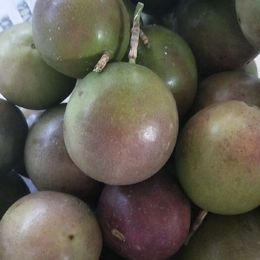 南宁台农一号百香果