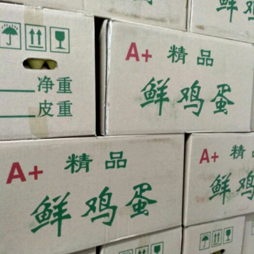 粉壳蛋  精品鸡蛋
