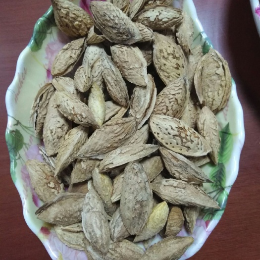 莎车县 巴旦木 纸皮巴旦木 莎车1号