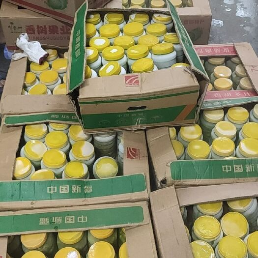 湛江 厂家直供豆虫现货