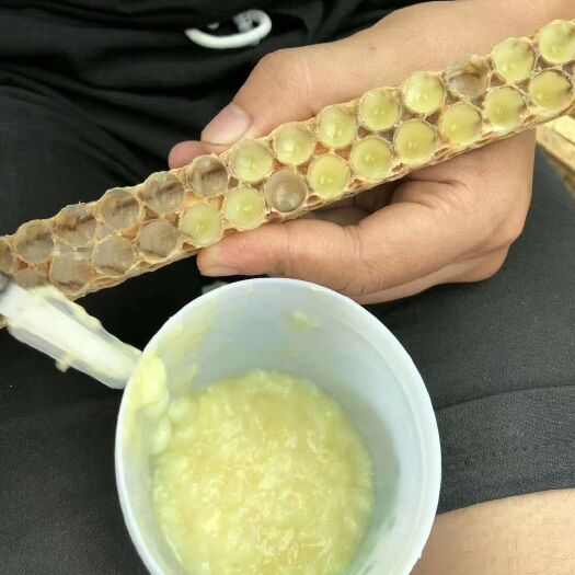 六盘水 蜂王浆