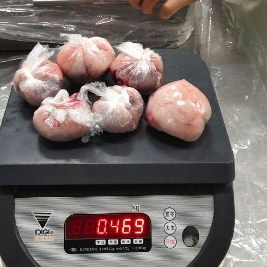 环县羊腰 羊油腰