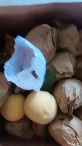 蒙阴县黄金黄桃 黄金脆