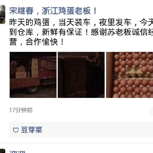 枣阳市普通鸡蛋 乡澄鲜蛋批发发货现场