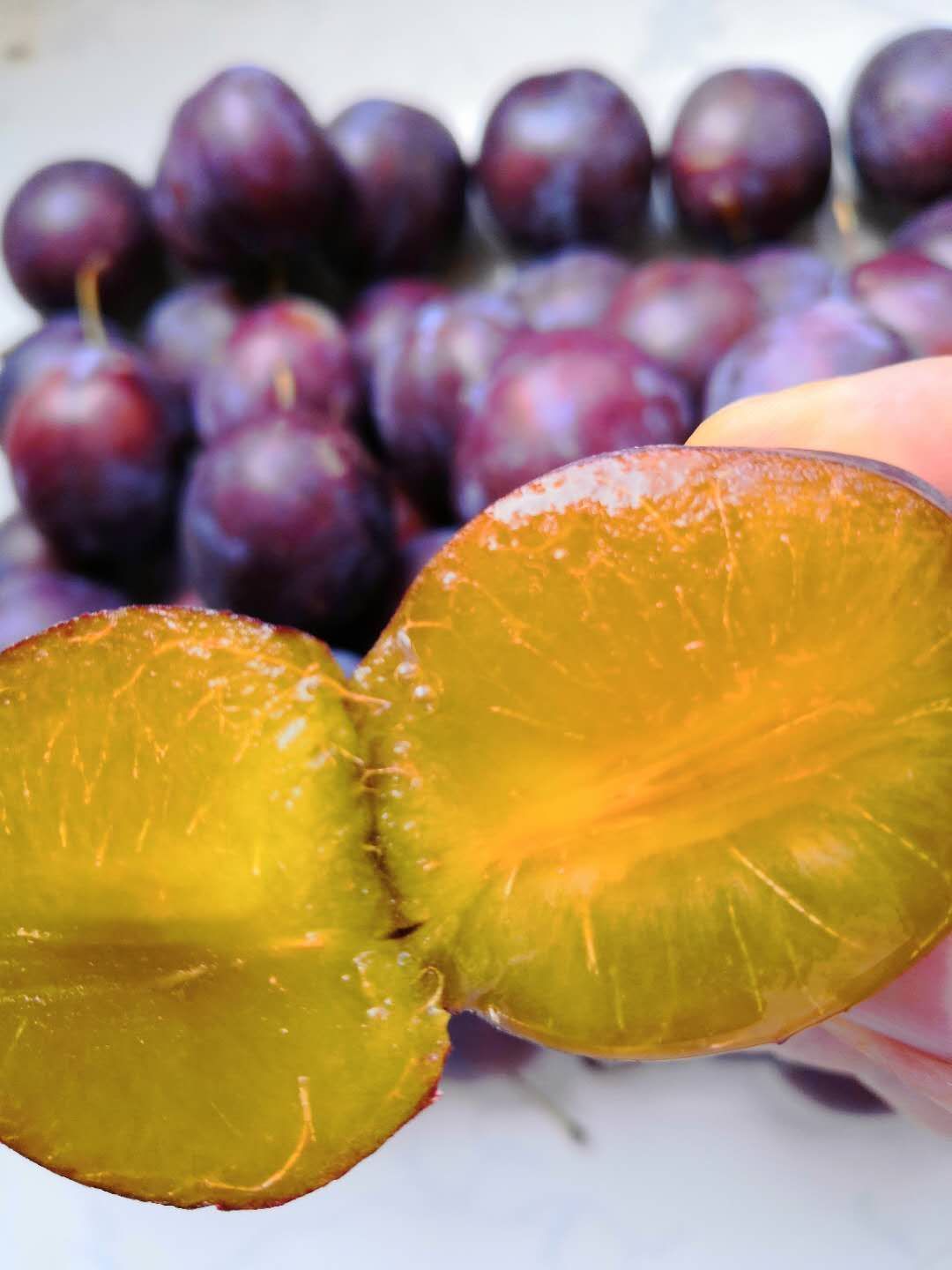  冬枣一样脆甜卯爷西梅苗价格