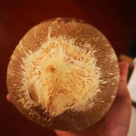 文昌市海南脱毛椰子椰子碗