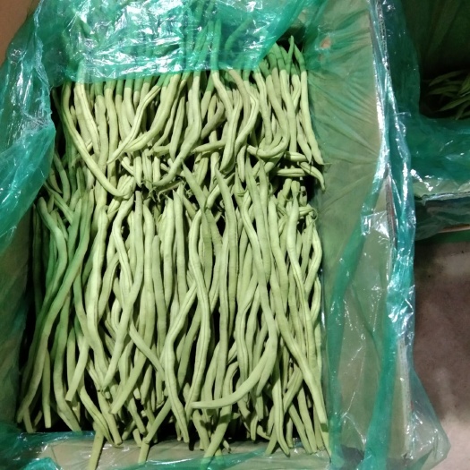 武山县架豆王豆角 40cm以下