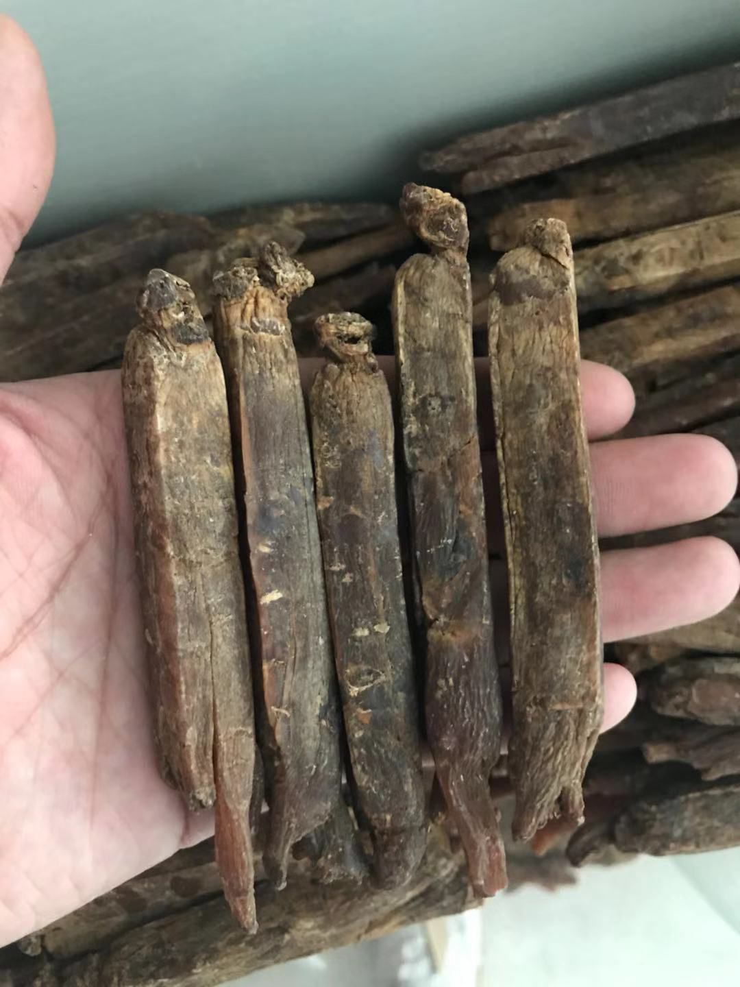  高丽参 无糖足干 6年根 吉林产地直发
