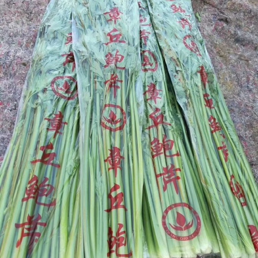 章丘鲍芹 酒店专用 众农蔬菜种植合作社