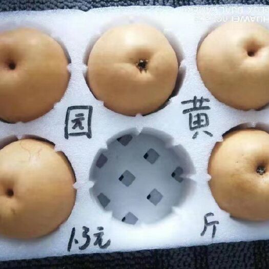 聊城 富硒黄金梨上市啦！！！汁多，肉脆，香甜可口！