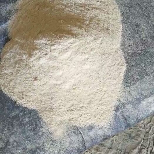 石家庄小麦次粉  次粉