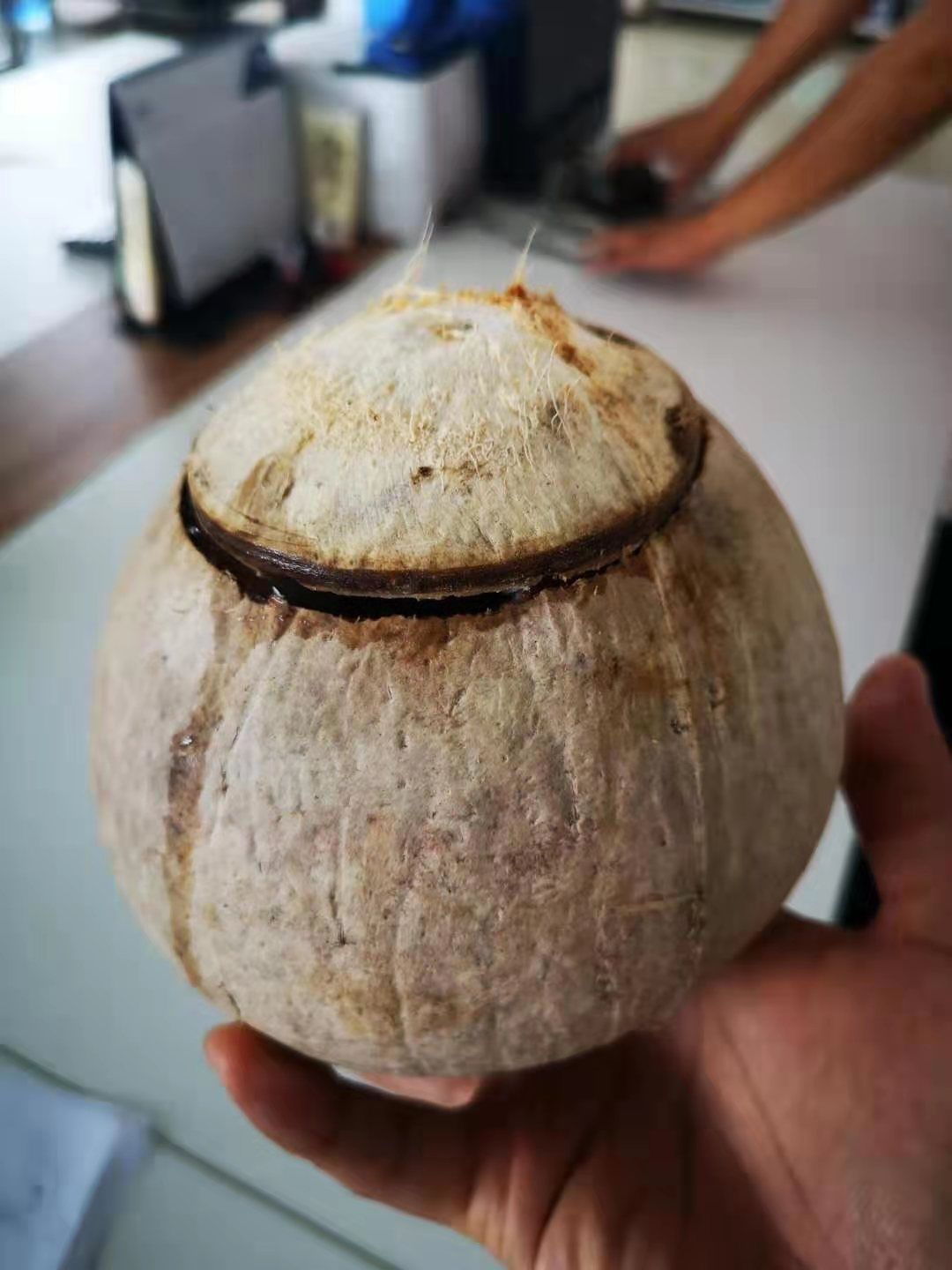 海南脱毛椰子椰子碗