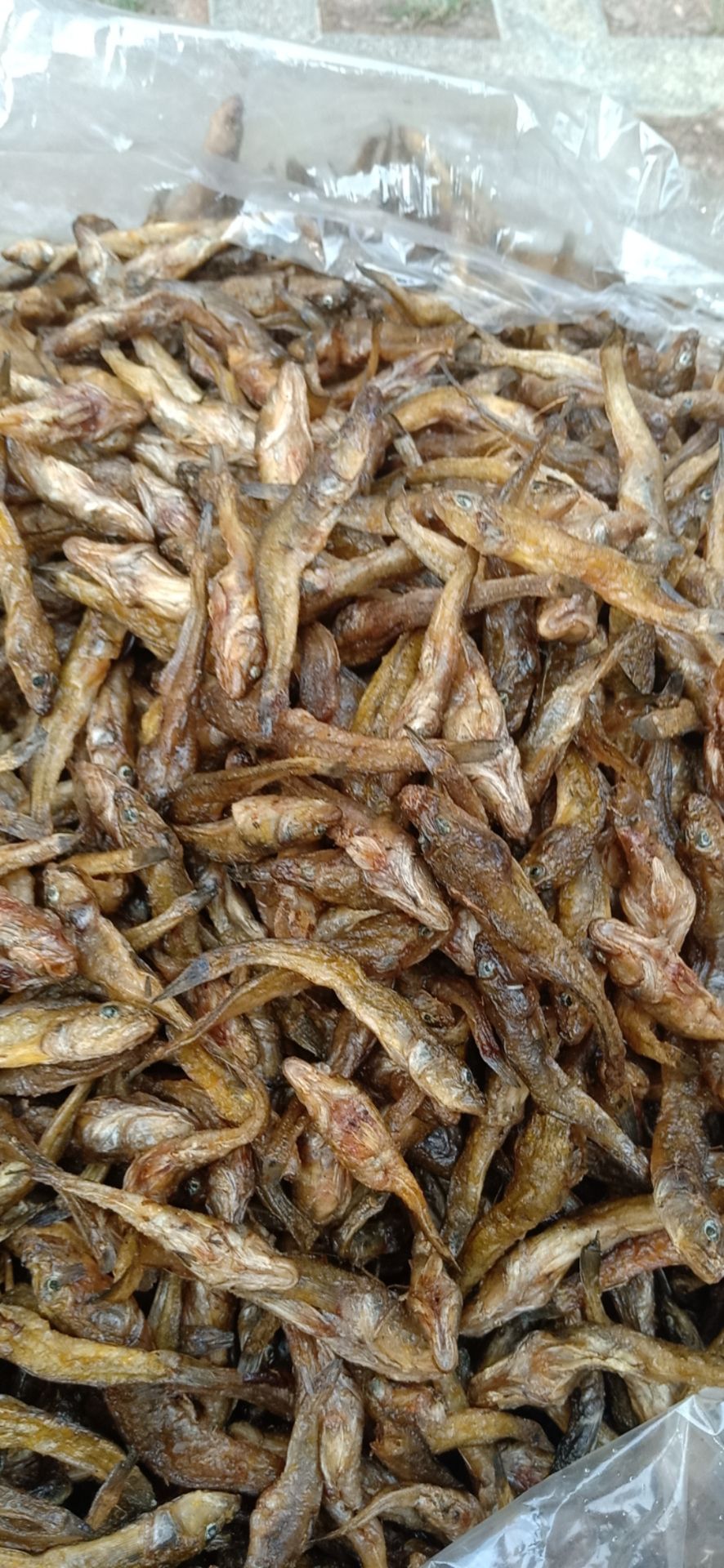 青鱼干 熏鱼块