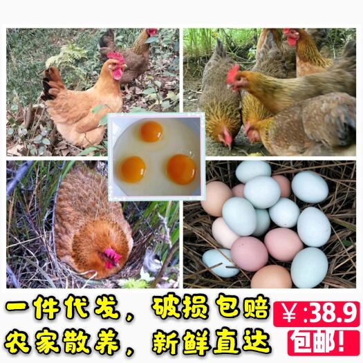 麻城市 正宗农家散养土鸡蛋新鲜柴鸡蛋草鸡蛋笨鸡蛋30枚装(一件代发)