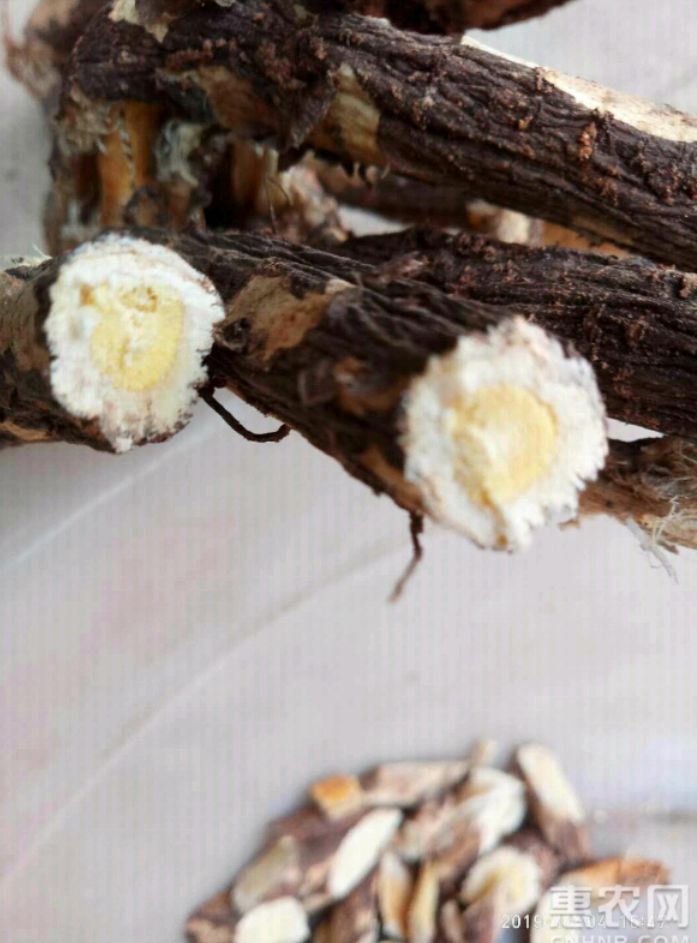 一生红芪片产地直销批发1件包邮250克