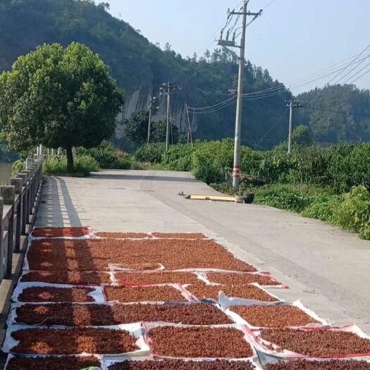 缙云县 优质桃胶，
得拥有