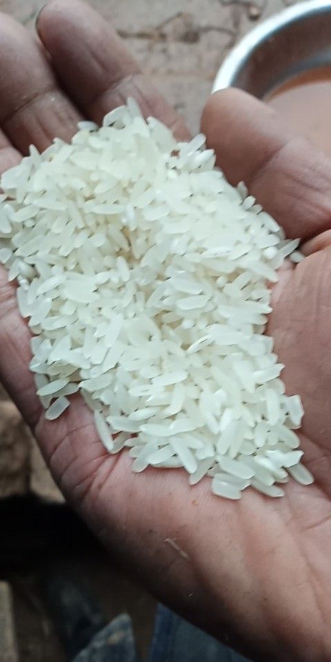 垫江 现磨胚芽米