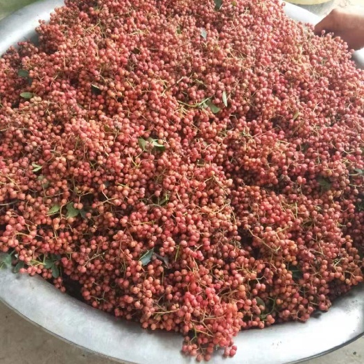 平陆县 大红袍花椒 干货  毛椒  色正味浓