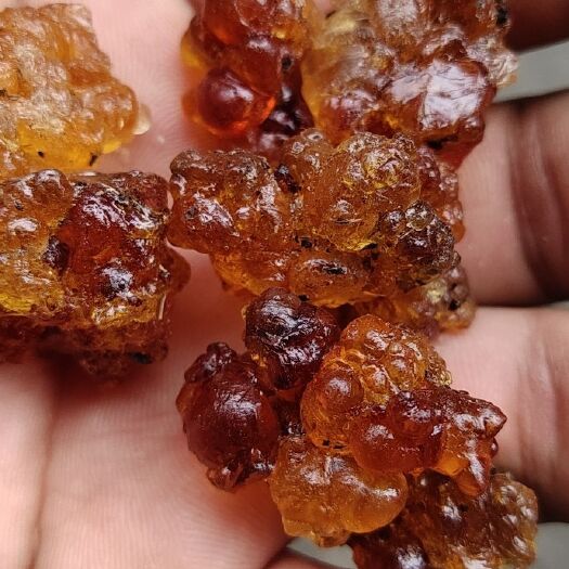 食用桃胶 黄胶