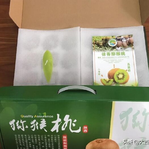 徐香猕猴桃 80~100克