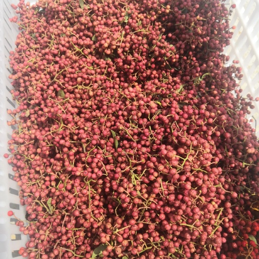 芮城县大红袍花椒 山西大红袍毛椒
