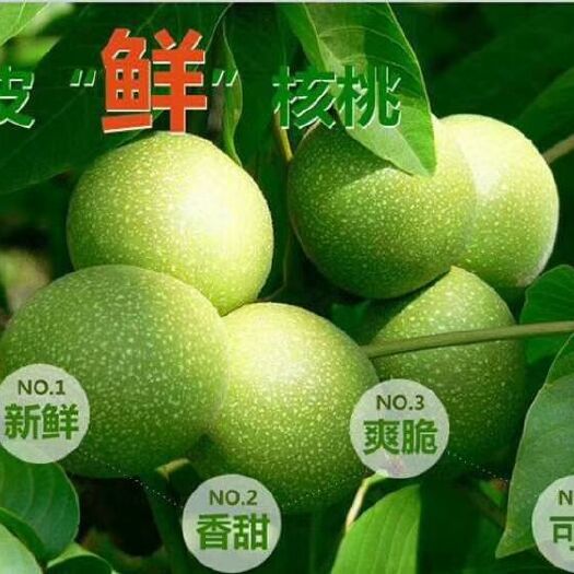 富平县青皮核桃 40mm以上 箱装 1个月