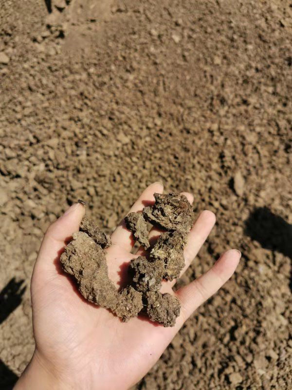 鸟粪 大量供应优质鹌鹑粪，物美价廉，产品及优！