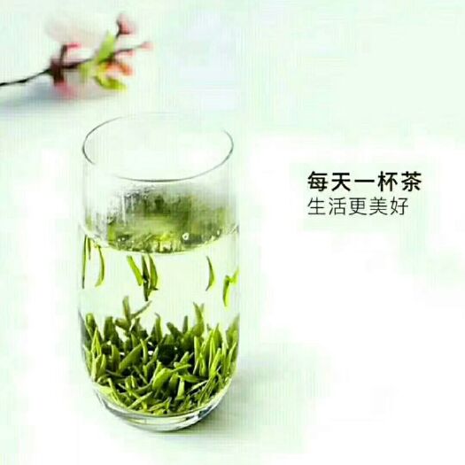 象圆茶 一级 袋装
