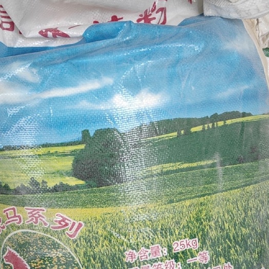 大名县高筋面粉  自己家加工的