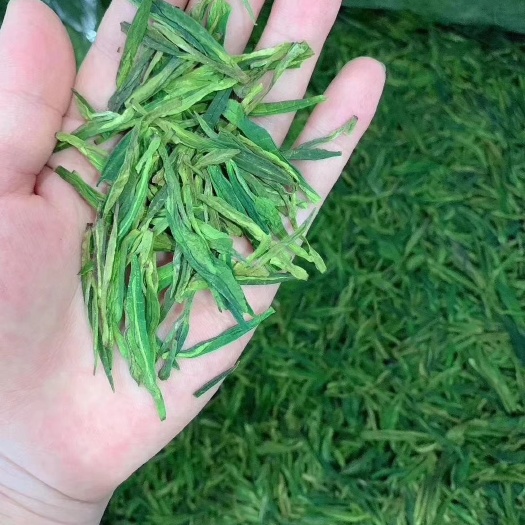 南宁 🍃绿版龙井！龙井茶绿版，滋味香醇厚重，回甘重，两罐一斤