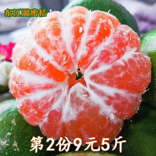 郴州 蜜桔现摘新鲜柑橘清江桔子