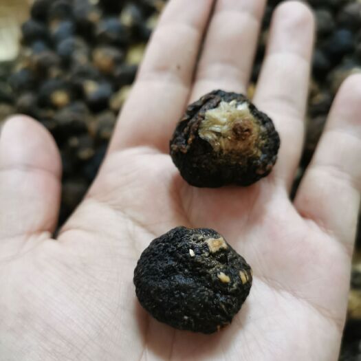 昆明黑玛咖 秘鲁玛卡